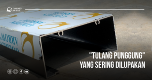 Kusen Pintu: Mengapa Ini Adalah “Tulang Punggung” yang Sering Dilupakan